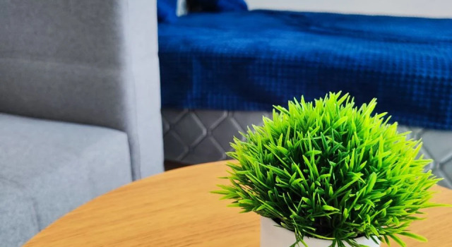 Sovremennaya Komfortnaya Studiya v Svetlykh Tonakh Flat, Buchen Sie Ferienwohnung Mogilev Woblast Mahiljou