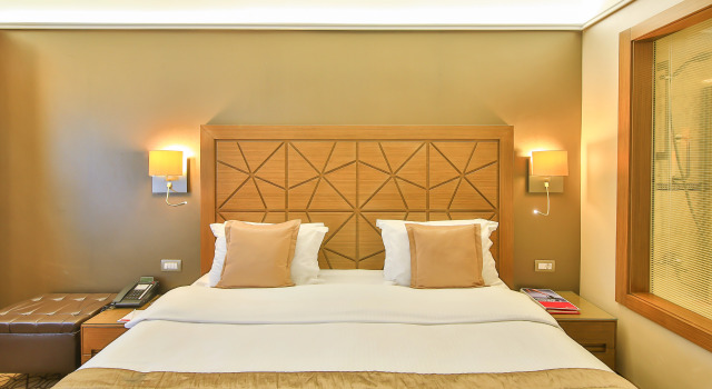 Двухместный номер Standard Отель Ramada By Wyndham Istanbul Taksim