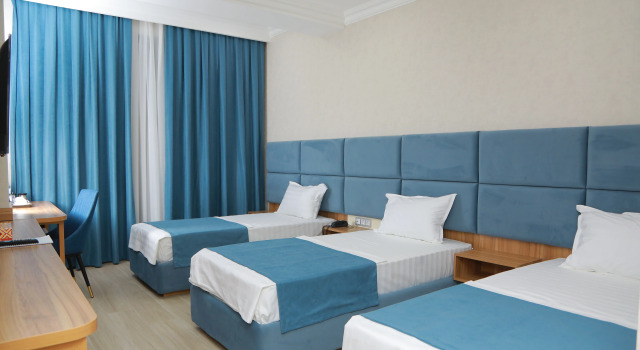 Трёхместный номер Standard Human Hotel