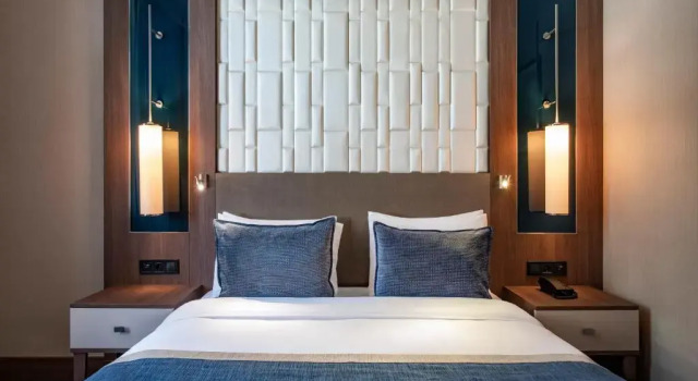 Двухместный номер Standard Tbilisi Philharmonic By Mercure Hotel
