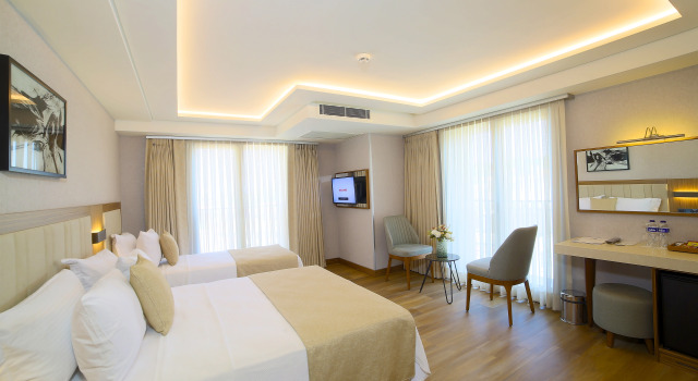 Трёхместный номер Standard Erboy Hotel Istanbul Sirkeci