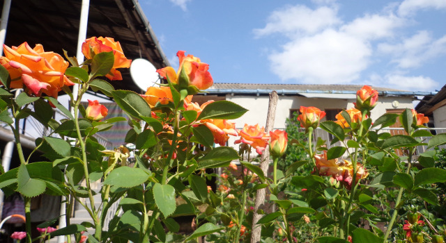 Anush`s B&B, Buchen Sie Bed & Breakfast Tatew Syunik region