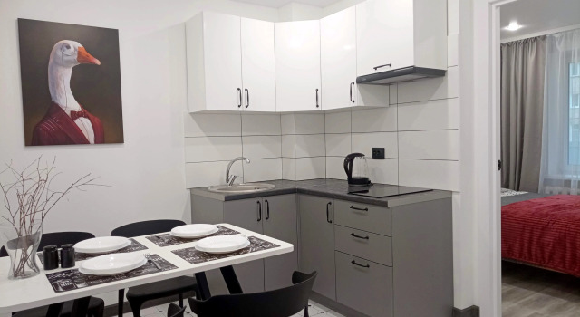 Vazhnaya Ptitsa Dvukhkomnatnye Apartment, Prenota Appartamento Pskov 