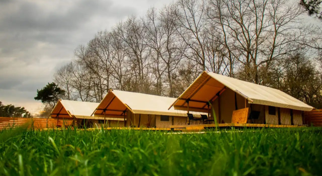 Malina Glemping Kosa Guest House, Buchen Sie Campingplatz Rybatschij Kurische Nehrung