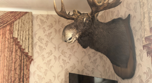 Logovo Rybaka I Okhotnika Private house, Book Feriehus Solyonoye Zaymishche Rusland