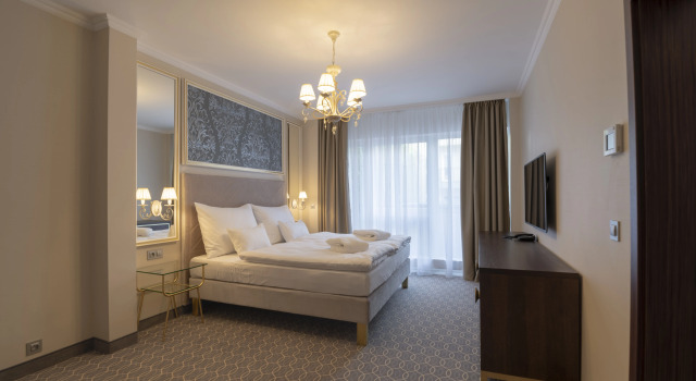 Номер Standard Spa Hotel ULRIKA