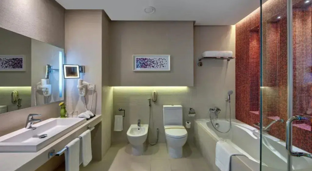 Двухместный полулюкс с видом на город The Act Hotel Sharjah