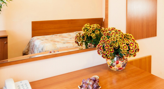 Ekonomi tek kişilik oda Electron Hotel