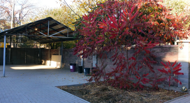 Almaty Backpackers Hostel, Book Hostel / Vandrerhjem Hostels i Almaty, nær Almaty Central Stadium, Hostel / Vandrerhjem