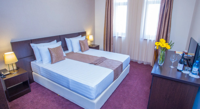 Premium Eenpersoonskamer uitzicht op de stad Ani Central Inn Hotel