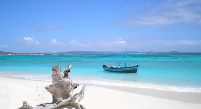 Jumbo Watamu All Inclusive Hotel, Réserver Hôtel Hôtels d'affaires à Coast Region, 4* 5*