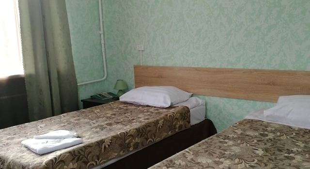 Двухместный номер Standard с видом на город Лужский Социально-Деловой Центр Гостиница Луга