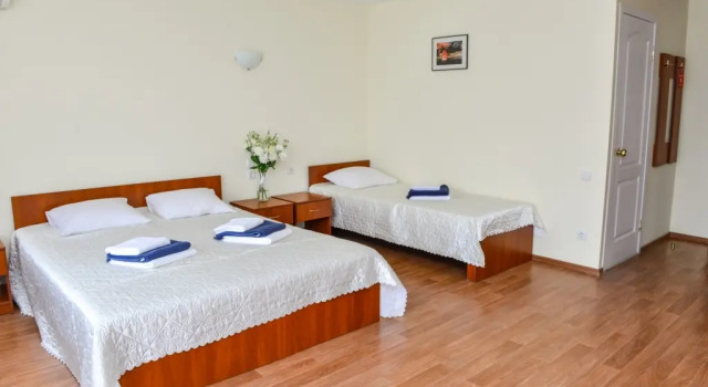 Трёхместный номер Comfort с балконом Пансионат Нева