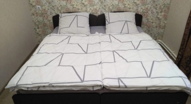 Double suite junior Avec vue Edelvejs Guest House