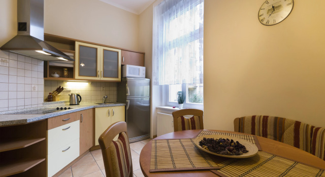 Апартаменты c 1 комнатой с красивым видом из окна Апартаменты Karla Capka Street