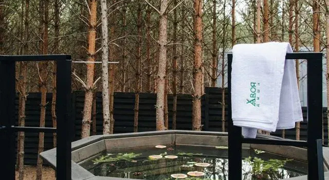 Коттедж с красивым видом из окна Частный дом Хвоя Светлый