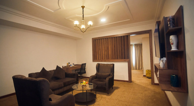 Двухместный люкс Executive Plus с видом на город Airport View Hotel