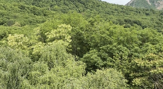 Квартира Бохо