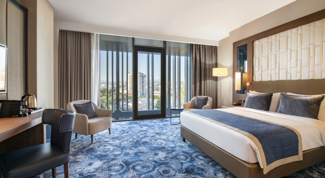 Двухместный номер Deluxe Tbilisi Philharmonic By Mercure Hotel
