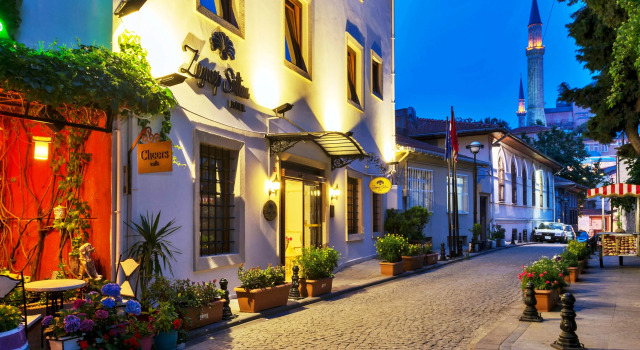 Отель Zeynep Sultan