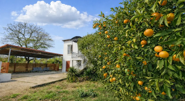 Dlya Semyi ili Kompanii s Citrusovym Sadom Private House, Book Vacation Home Sukhum Abkhazia