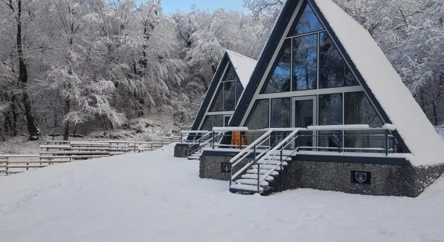 Шале A-Frame Forrest