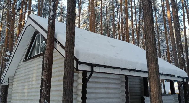 Коттедж Дуплекс с красивым видом из окна База отдыха ДухЛес