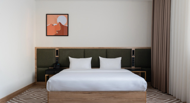 Deluxe Double room with city view THE ELEMENTS HOTEL