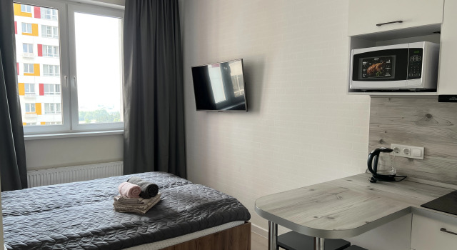 Malina Apartment Бесконтактное заселение студия в ЖК «Спутник»