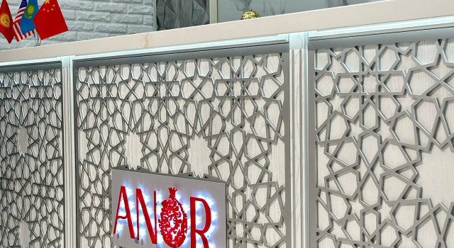 Отель Anor