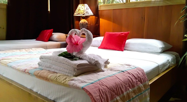 Бунгало Deluxe Отель Casa Drake Lodge