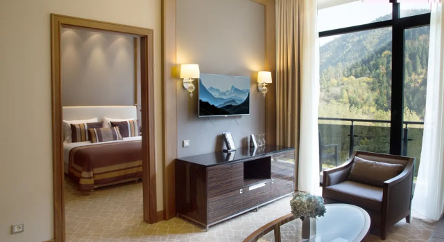 Двухместный полулюкс Borjomi Likani Health & Spa Centre