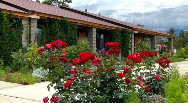 Abricos Guest House, Reservar Casa de hóspedes Hotéis em Issyk-Kul com refeições, Meia Pensão / Pensão Completa