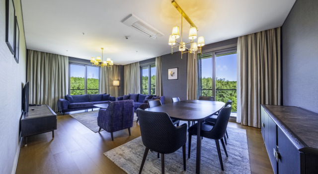 Апартаменты Superior с 2 комнатами Radisson Residences Vadistanbul