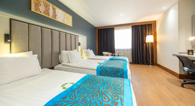 Трёхместный номер Deluxe с видом на город Отель Teymur Continental Hotel
