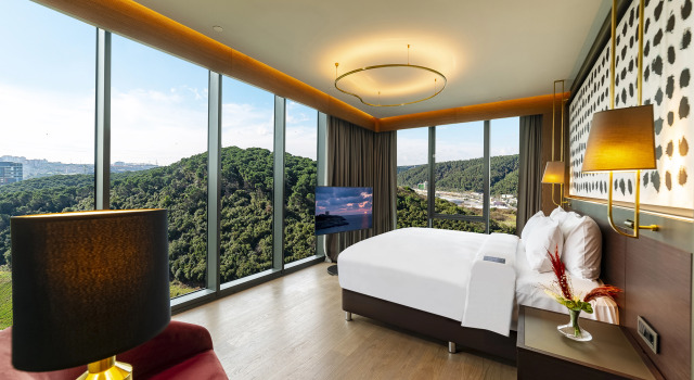 Двухместный люкс c 1 комнатой с видом на город и лес Radisson Collection Hotel, Vadistanbul