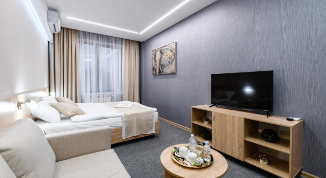 Двухместный номер Comfort Plus с видом на город Лакшми