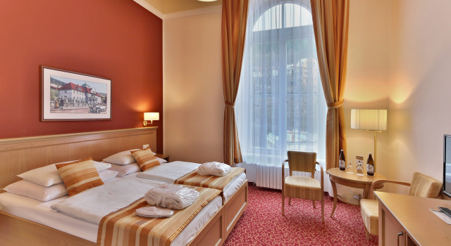 Двухместный номер Comfort с красивым видом из окна Отель Radium Palace