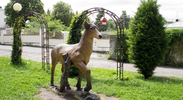 Санаторий Смена