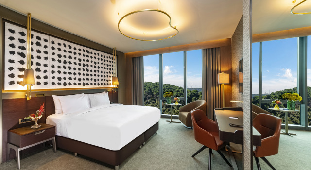 Двухместный номер Collection с видом на лес Radisson Collection Hotel, Vadistanbul