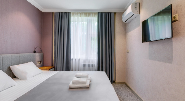 Standardní Dvoulůžkový s manželskou postelí pokoj Mon Ami Khimki Hotel