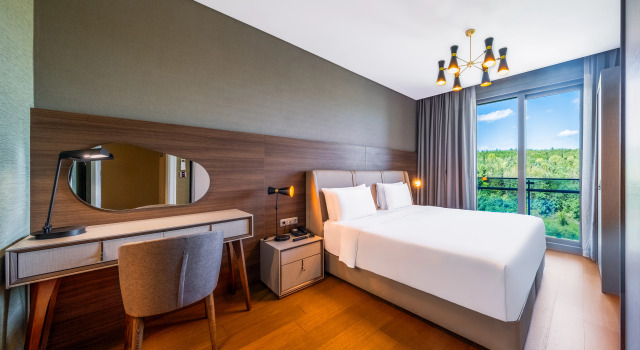 Апартаменты Superior с 2 комнатами Radisson Residences Vadistanbul