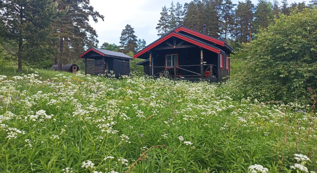 Kirlahti Bay Guest House, Prenota Affittacamere Hotel a Carelia con colazione, Colazione