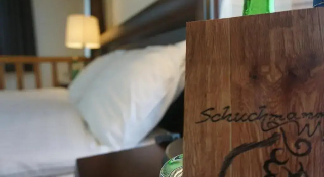 Двухместный номер Deluxe с балконом и с красивым видом из окна Отель Schuchmann Wines Château, Villas & SPA