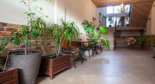 Emili Guest House