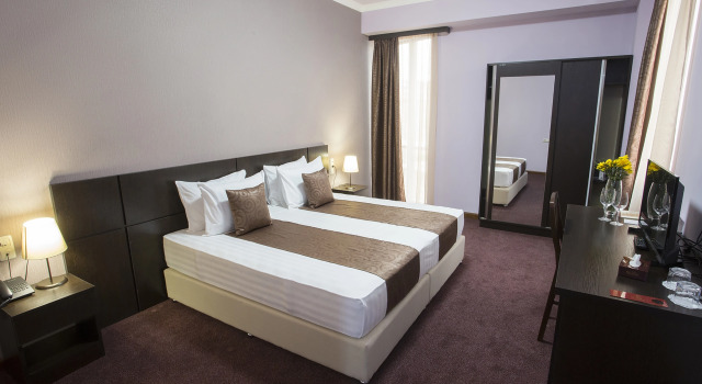 Premium Eenpersoonskamer uitzicht op de stad Ani Central Inn Hotel