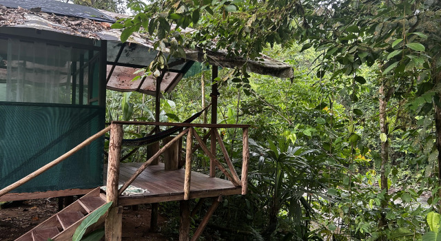 Коттедж Хостел RioAgujitasEcoFarmandTours