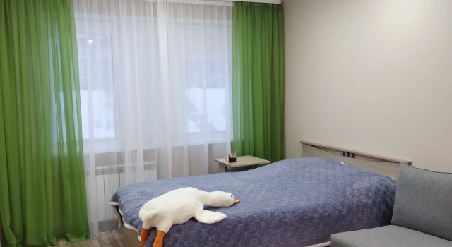 Uyutnaya kak doma Flat, Book Apartment Kirovsk Murmansk Region