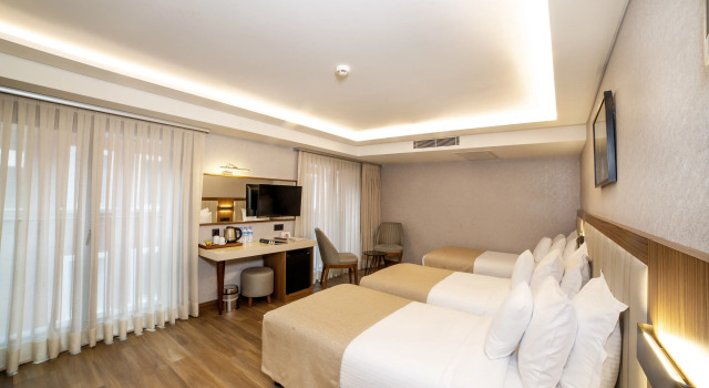 Трёхместный номер Standard Erboy Hotel Istanbul Sirkeci