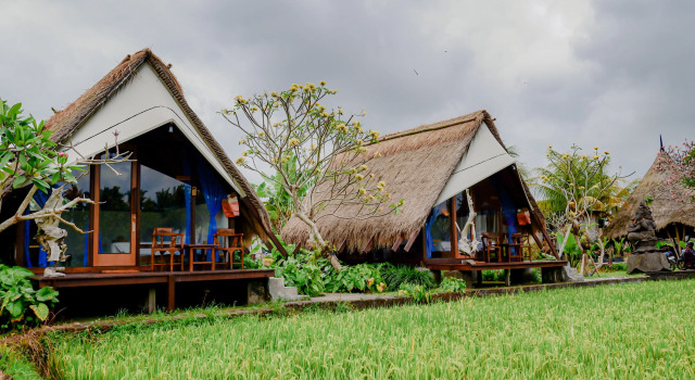 Номер Superior Ubud Rice Field Stay - Mahari by WAHM